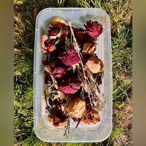 🥀🖤Air Dried Roses🖤🥀